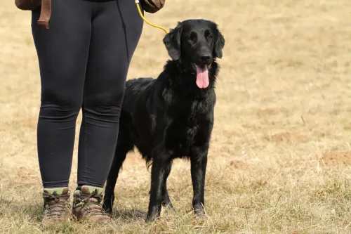 @ workshop, 2 years oldF: A. Čeh