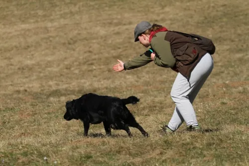 @ workshop, 2 years oldF: A. Čeh