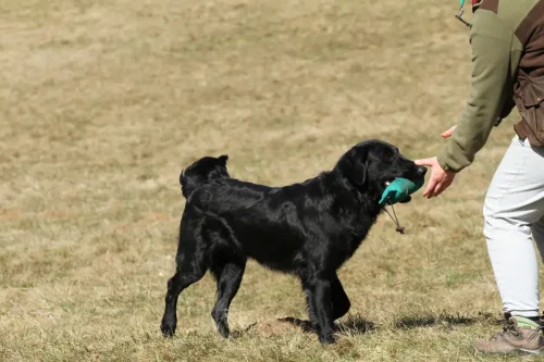 @ workshop, 2 years oldF: A. Čeh