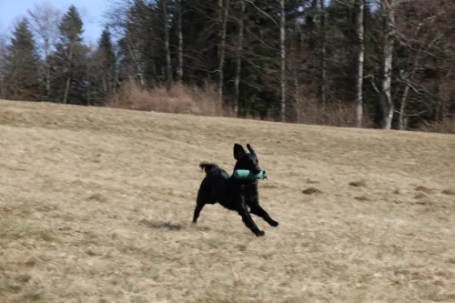 @ workshop, 2 years oldF: A. Čeh