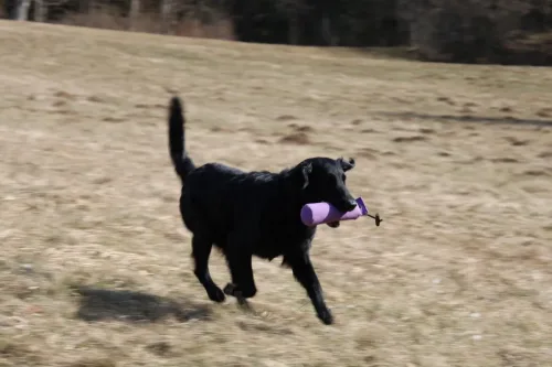 @ workshop, 2 years oldF: A. Čeh