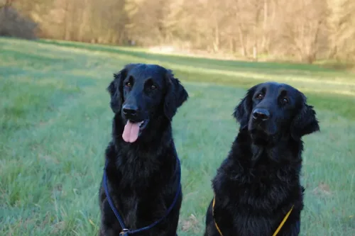 Zena and her mom Alta